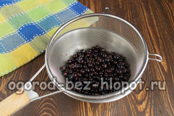 열매를 해동하다