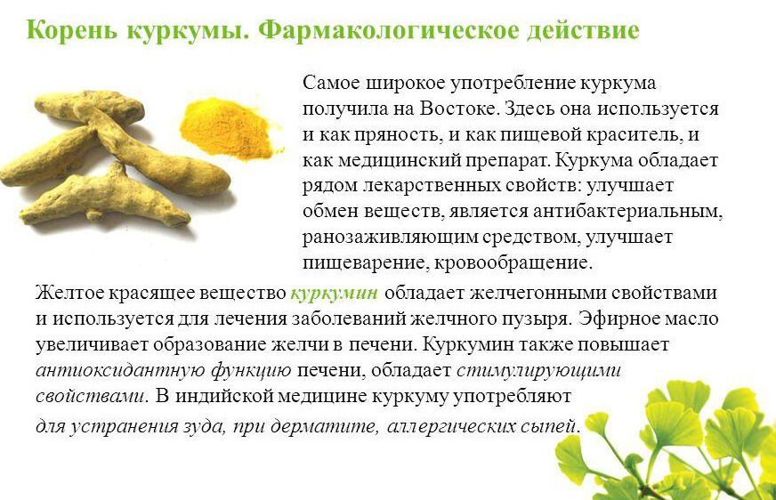 강황뿌리의 약리작용