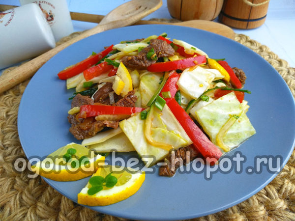 기성품 양배추와 고기 샐러드