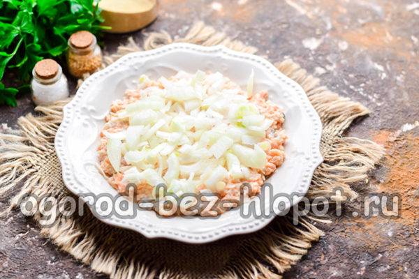 절인 양파 한 층