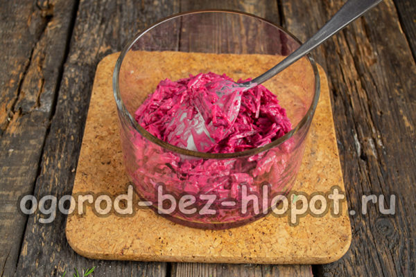 마요네즈를 곁들인 비트 한 겹