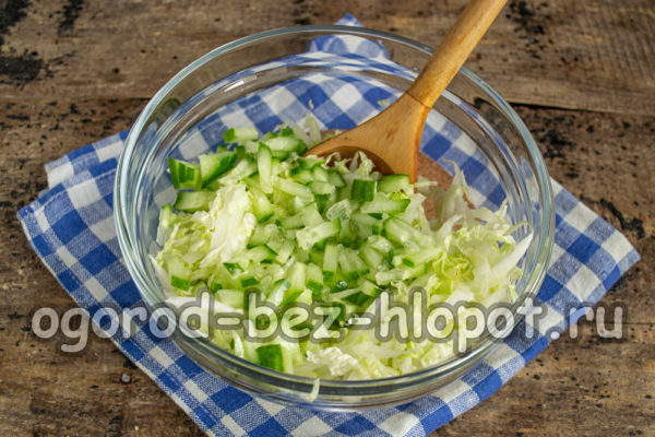 양배추에 다진 오이를 넣는다