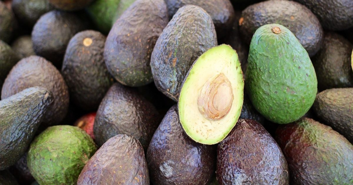 아보카도
