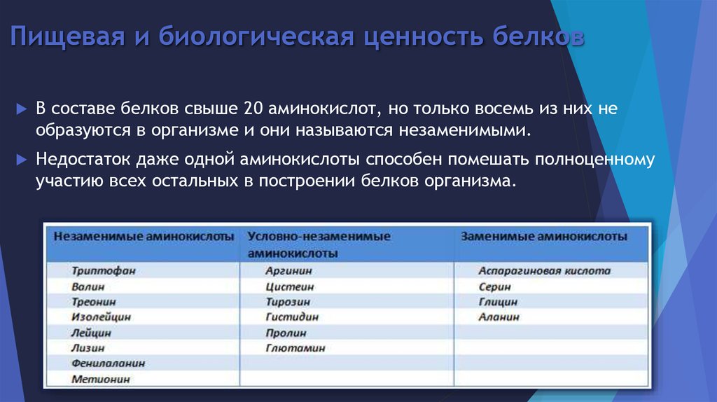 단백질의 영양가 및 생물학적 가치