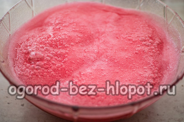 시럽을 준비하다