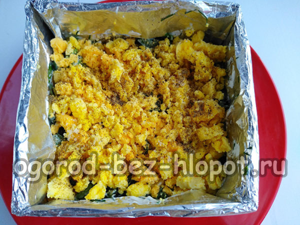 달걀 노른자 층