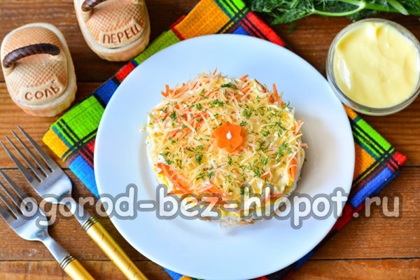 허브와 당근으로 장식하다