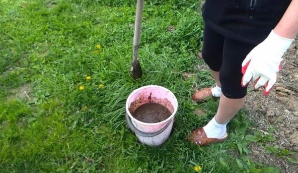 액비로 추비하기