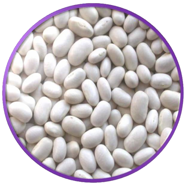 콩의 금기 사항