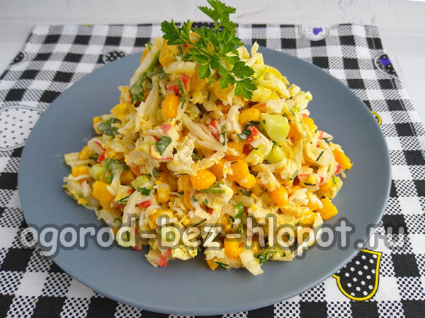 샐러드를 접시에 담다