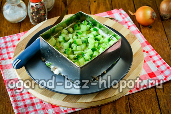 신선한 오이 한 층