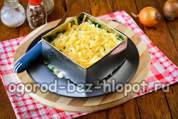 단단한 치즈 한 층