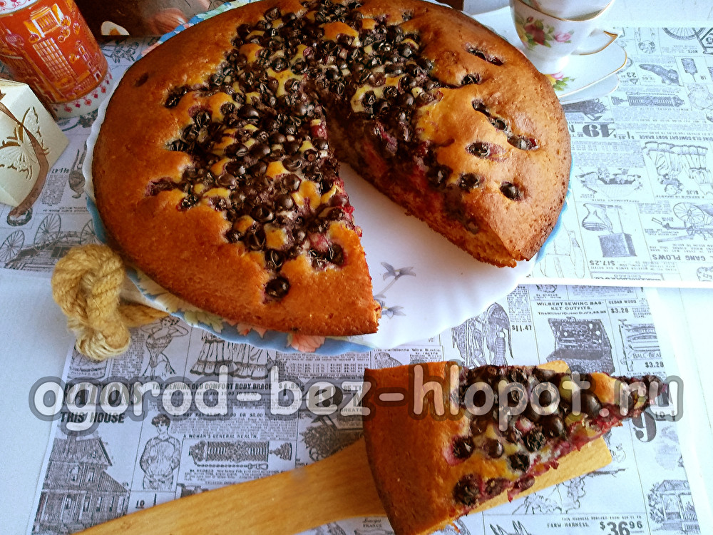 냉동 검은 건포도를 곁들인 샬롯