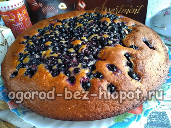 건포도 샬롯이 준비되었습니다