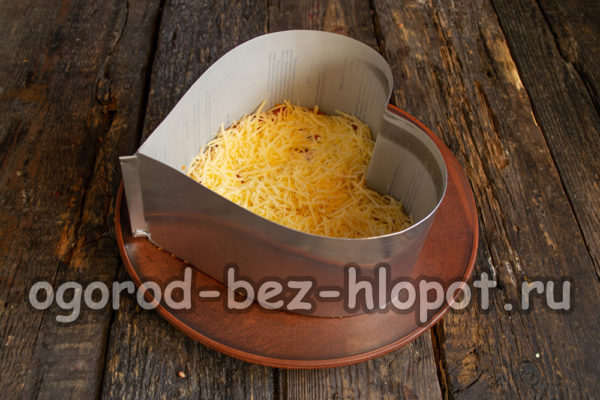 단단한 치즈 한 층