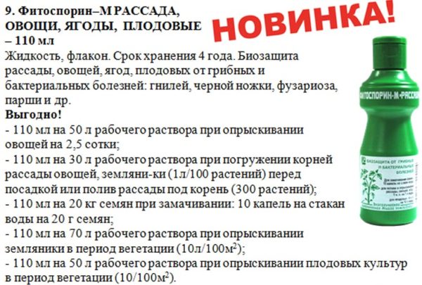 묘목용 피토스포린