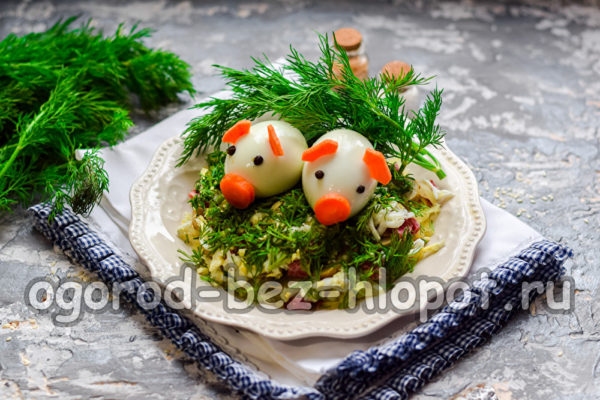 계란에서 나온 새끼 돼지