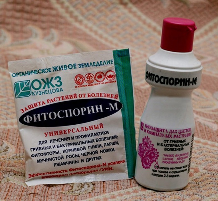 난초용 피토스포린