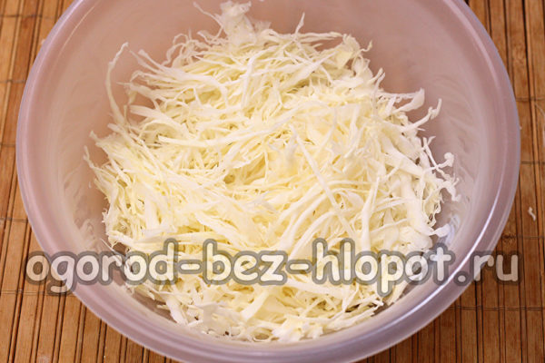 잘게 썬 양배추