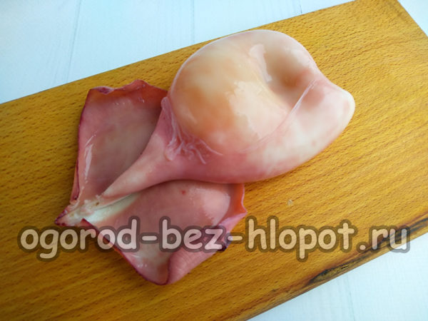 오징어를 삶아서 깨끗이 씻는다