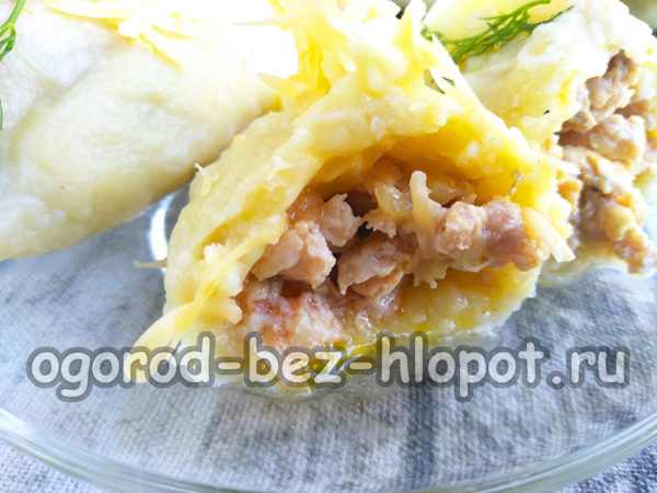 다진 고기 만두