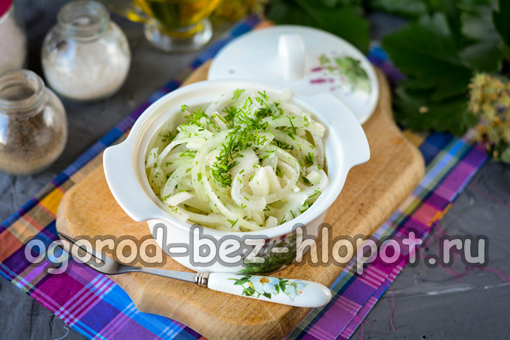 샤슬릭용 절인 양파