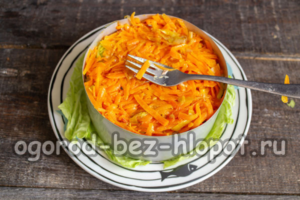 볶은 당근 한 층