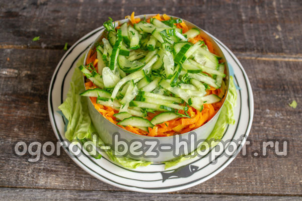 신선한 오이와 딜 한 겹