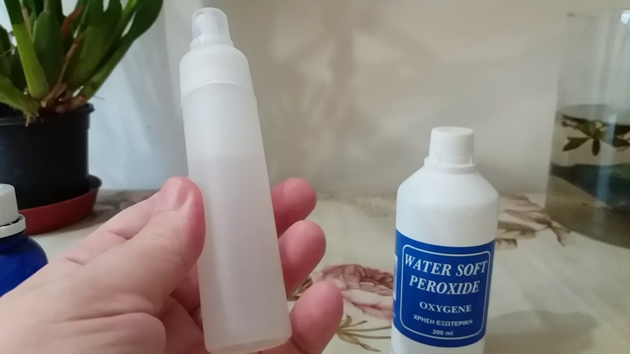 난초용 과산화수소