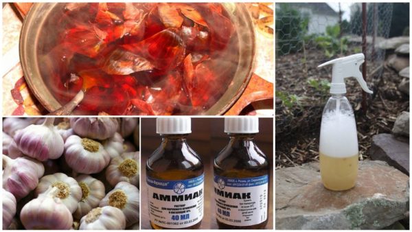 진드기 방지 요리법