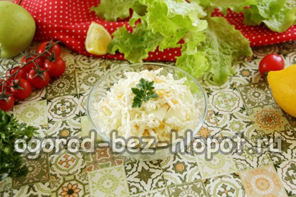 샐러드 그릇에 옮겨 담다