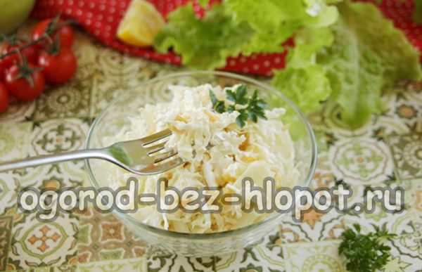 옥수수와 사과를 곁들인 양배추 샐러드