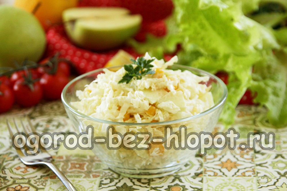 옥수수와 사과를 곁들인 배추 샐러드