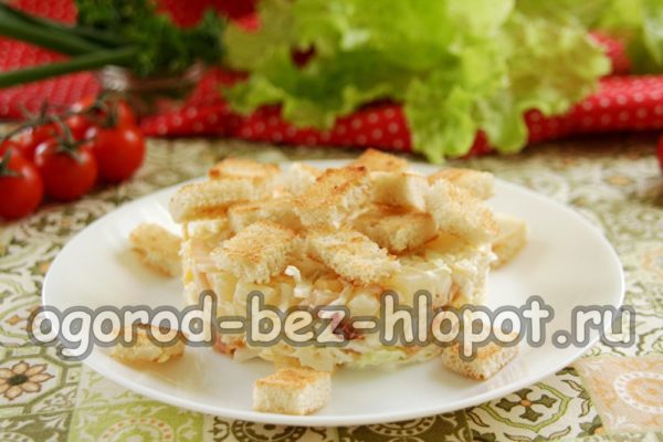 샐러드에 크루통을 얹다