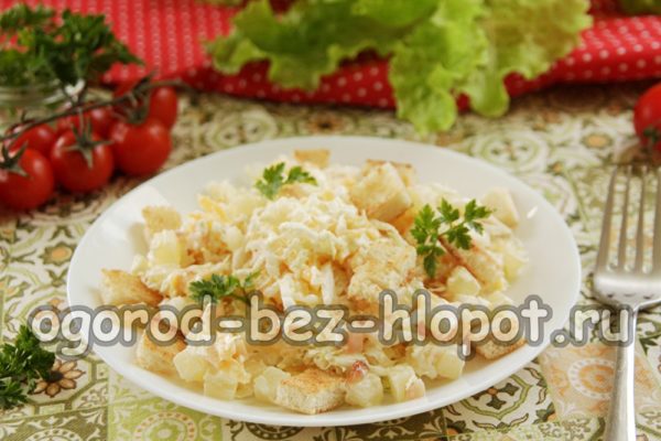 접시에 샐러드를 담다