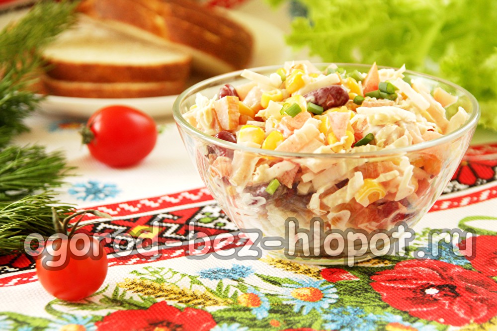 닭고기, 콩, 옥수수, 야채를 넣은 샐러드