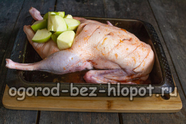 오리에 사과를 채우다