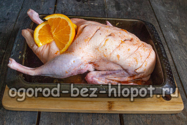 오렌지 조각을 추가하세요