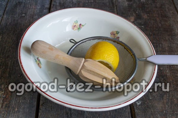 레몬즙을 짜내다