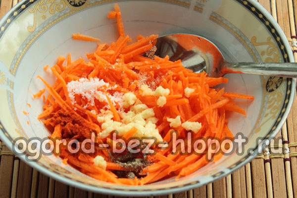 당근, 마늘, 향신료