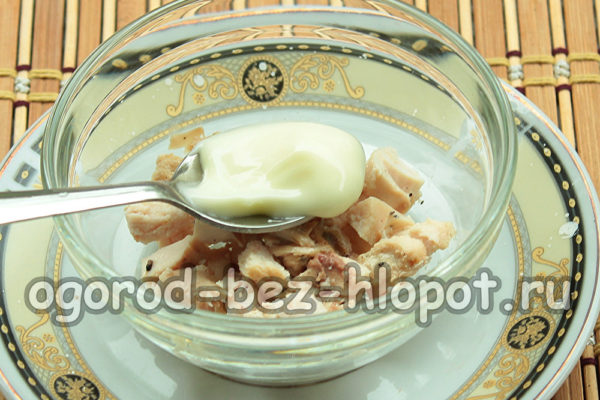 마요네즈를 곁들인 닭고기 필레 한 층