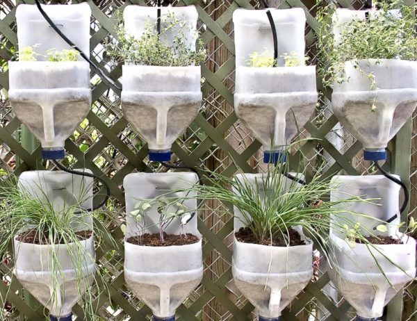 정원용 용기 공예