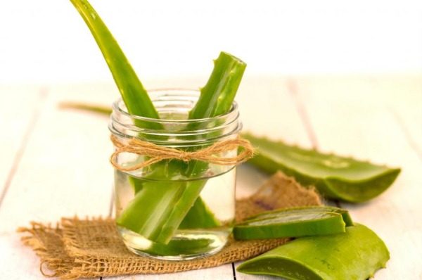 리스트자 알로에