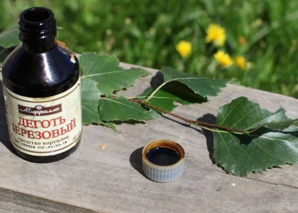 5월 벌레와 두더지 귀뚜라미 제거