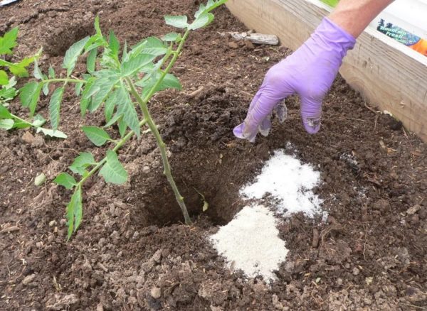 5월 벌레와 두더지 귀뚜라미 제거