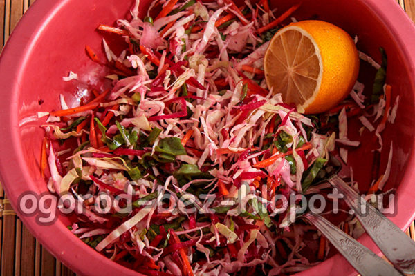 레몬즙을 더하다