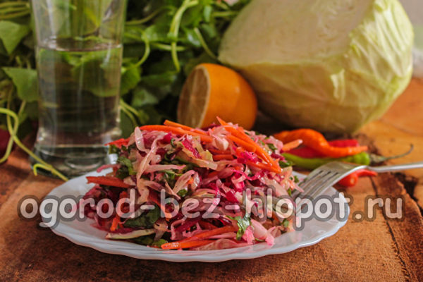 메텔카 샐러드가 준비되었습니다