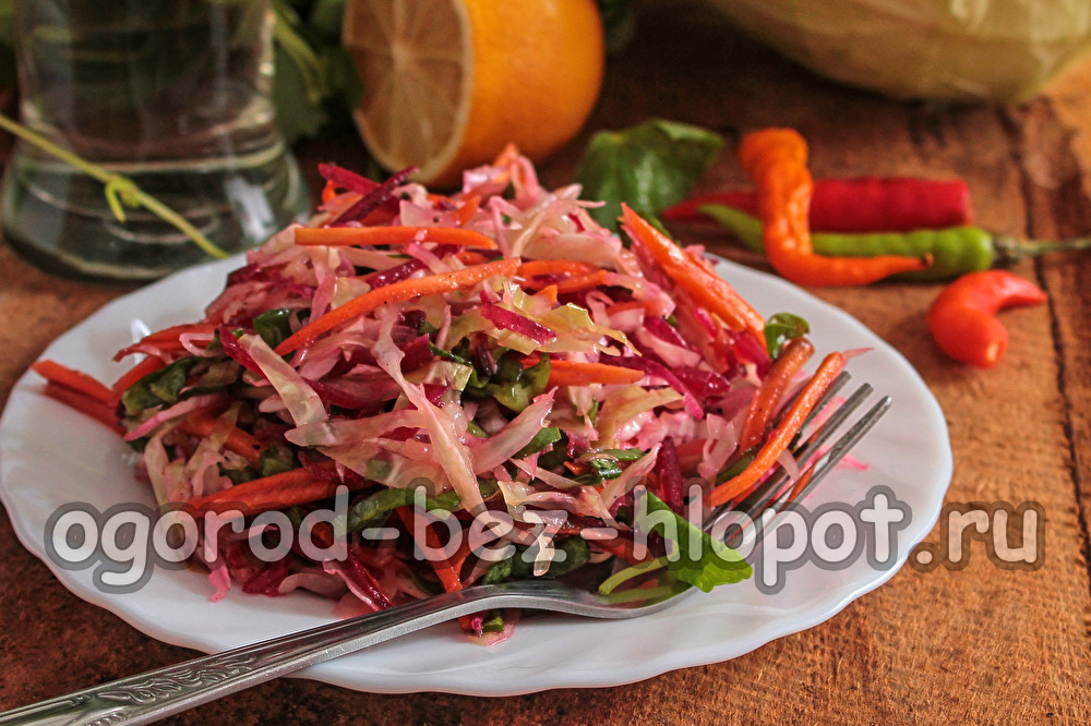 장 정화를 위한 빗자루 샐러드