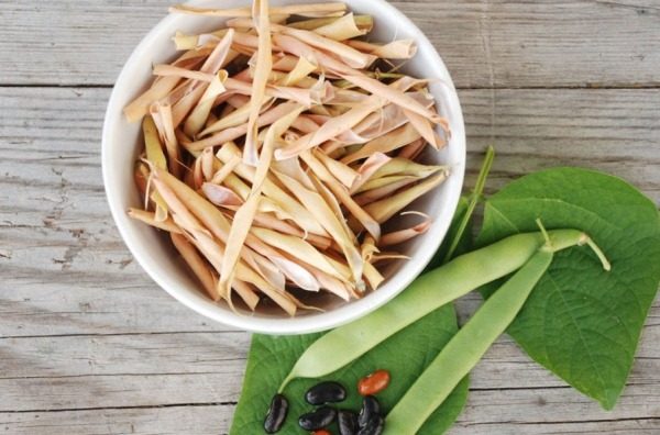 콩 스트보르키-스보르