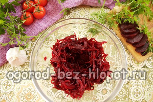 그릇에 담긴 비트